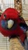 Benutzer Avatar
